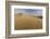 Sand Dunes and Pacific Ocean in the Oregon Dunes NRA, Oregon-Chuck Haney-Framed Photographic Print