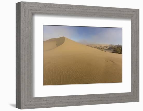 Sand Dunes and Pacific Ocean in the Oregon Dunes NRA, Oregon-Chuck Haney-Framed Photographic Print