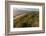 Sand Dunes and Pacific Ocean in the Oregon Dunes NRA, Oregon-Chuck Haney-Framed Photographic Print