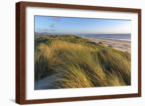 Sand Dunes and Pacific Ocean in the Oregon Dunes NRA, Oregon-Chuck Haney-Framed Photographic Print