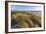 Sand Dunes and Pacific Ocean in the Oregon Dunes NRA, Oregon-Chuck Haney-Framed Photographic Print