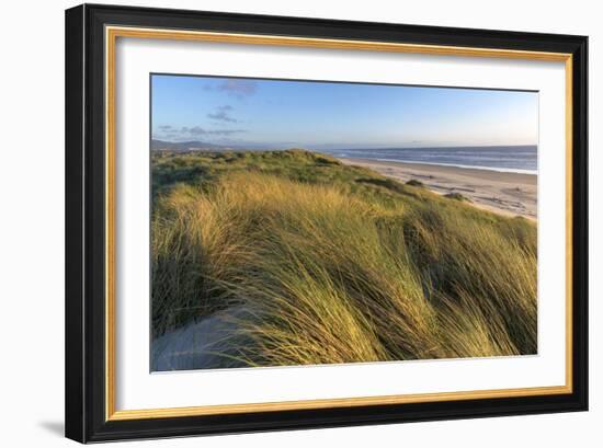 Sand Dunes and Pacific Ocean in the Oregon Dunes NRA, Oregon-Chuck Haney-Framed Photographic Print