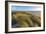 Sand Dunes and Pacific Ocean in the Oregon Dunes NRA, Oregon-Chuck Haney-Framed Photographic Print