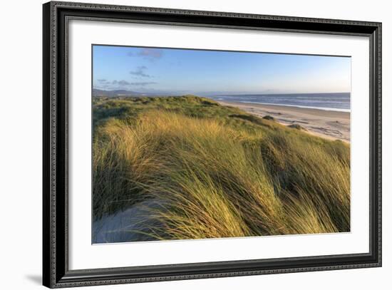 Sand Dunes and Pacific Ocean in the Oregon Dunes NRA, Oregon-Chuck Haney-Framed Photographic Print