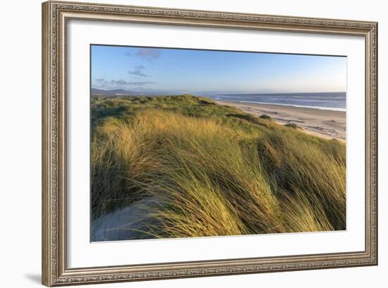 Sand Dunes and Pacific Ocean in the Oregon Dunes NRA, Oregon-Chuck Haney-Framed Photographic Print