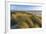 Sand Dunes and Pacific Ocean in the Oregon Dunes NRA, Oregon-Chuck Haney-Framed Photographic Print