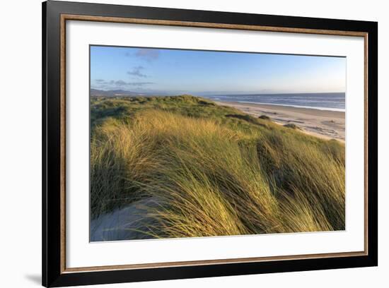 Sand Dunes and Pacific Ocean in the Oregon Dunes NRA, Oregon-Chuck Haney-Framed Photographic Print