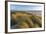 Sand Dunes and Pacific Ocean in the Oregon Dunes NRA, Oregon-Chuck Haney-Framed Photographic Print