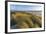 Sand Dunes and Pacific Ocean in the Oregon Dunes NRA, Oregon-Chuck Haney-Framed Photographic Print