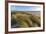 Sand Dunes and Pacific Ocean in the Oregon Dunes NRA, Oregon-Chuck Haney-Framed Photographic Print