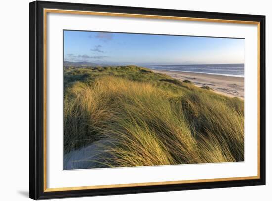 Sand Dunes and Pacific Ocean in the Oregon Dunes NRA, Oregon-Chuck Haney-Framed Photographic Print