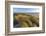 Sand Dunes and Pacific Ocean in the Oregon Dunes NRA, Oregon-Chuck Haney-Framed Photographic Print