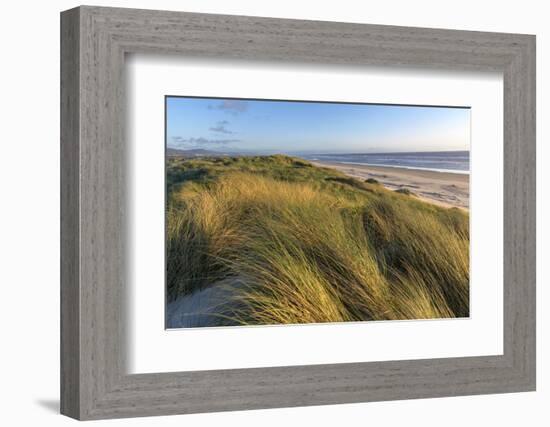 Sand Dunes and Pacific Ocean in the Oregon Dunes NRA, Oregon-Chuck Haney-Framed Photographic Print