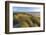 Sand Dunes and Pacific Ocean in the Oregon Dunes NRA, Oregon-Chuck Haney-Framed Photographic Print