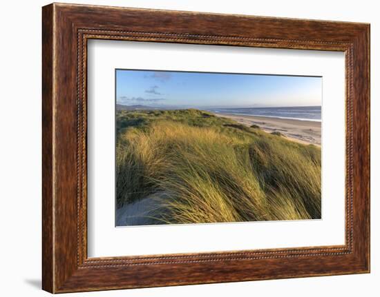 Sand Dunes and Pacific Ocean in the Oregon Dunes NRA, Oregon-Chuck Haney-Framed Photographic Print