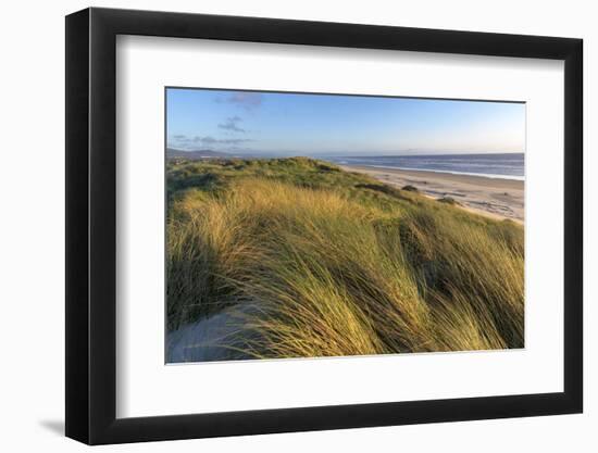 Sand Dunes and Pacific Ocean in the Oregon Dunes NRA, Oregon-Chuck Haney-Framed Photographic Print