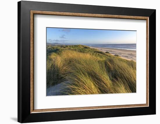 Sand Dunes and Pacific Ocean in the Oregon Dunes NRA, Oregon-Chuck Haney-Framed Photographic Print