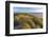 Sand Dunes and Pacific Ocean in the Oregon Dunes NRA, Oregon-Chuck Haney-Framed Photographic Print