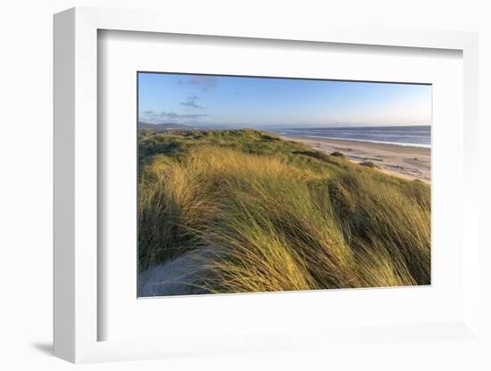 Sand Dunes and Pacific Ocean in the Oregon Dunes NRA, Oregon-Chuck Haney-Framed Photographic Print