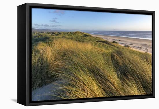 Sand Dunes and Pacific Ocean in the Oregon Dunes NRA, Oregon-Chuck Haney-Framed Premier Image Canvas