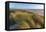 Sand Dunes and Pacific Ocean in the Oregon Dunes NRA, Oregon-Chuck Haney-Framed Premier Image Canvas