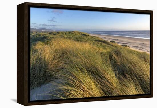 Sand Dunes and Pacific Ocean in the Oregon Dunes NRA, Oregon-Chuck Haney-Framed Premier Image Canvas