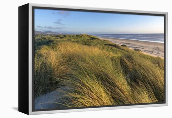 Sand Dunes and Pacific Ocean in the Oregon Dunes NRA, Oregon-Chuck Haney-Framed Premier Image Canvas