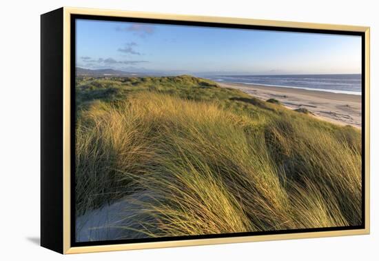 Sand Dunes and Pacific Ocean in the Oregon Dunes NRA, Oregon-Chuck Haney-Framed Premier Image Canvas