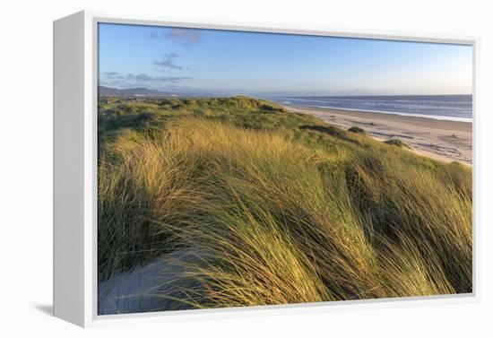 Sand Dunes and Pacific Ocean in the Oregon Dunes NRA, Oregon-Chuck Haney-Framed Premier Image Canvas