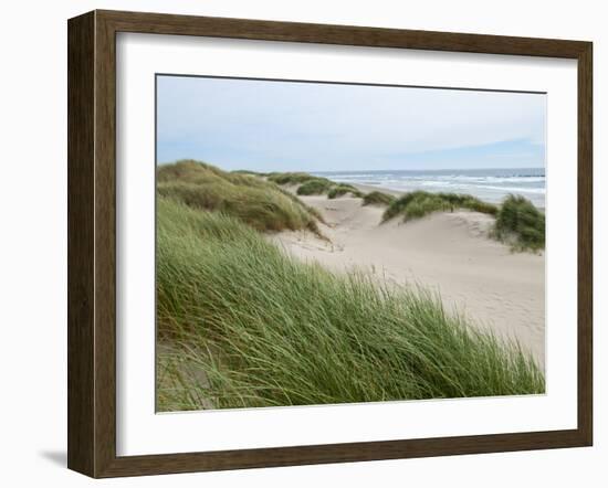 Sand Dunes and Scrub in Oregon Dunes National Recreation Park in Florence, Oregon, Usa-Bill Bachmann-Framed Photographic Print