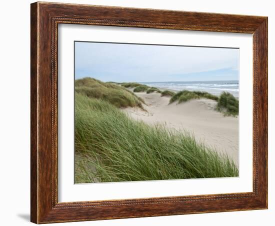 Sand Dunes and Scrub in Oregon Dunes National Recreation Park in Florence, Oregon, Usa-Bill Bachmann-Framed Photographic Print