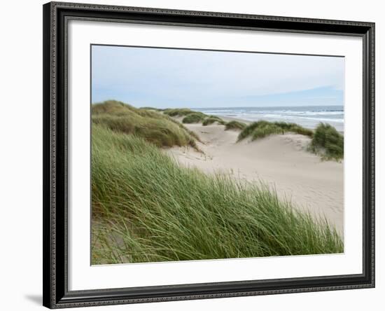 Sand Dunes and Scrub in Oregon Dunes National Recreation Park in Florence, Oregon, Usa-Bill Bachmann-Framed Photographic Print