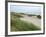 Sand Dunes and Scrub in Oregon Dunes National Recreation Park in Florence, Oregon, Usa-Bill Bachmann-Framed Photographic Print