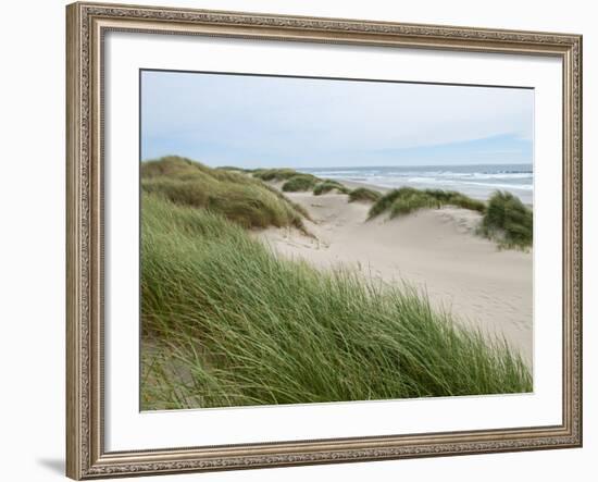 Sand Dunes and Scrub in Oregon Dunes National Recreation Park in Florence, Oregon, Usa-Bill Bachmann-Framed Photographic Print