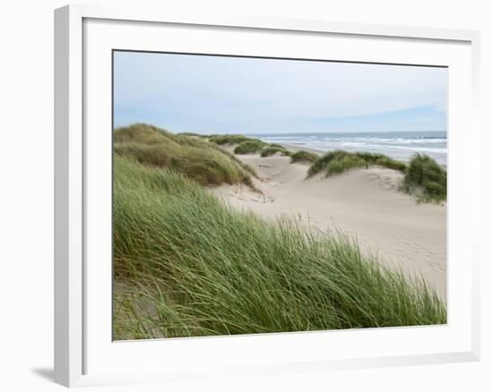 Sand Dunes and Scrub in Oregon Dunes National Recreation Park in Florence, Oregon, Usa-Bill Bachmann-Framed Photographic Print