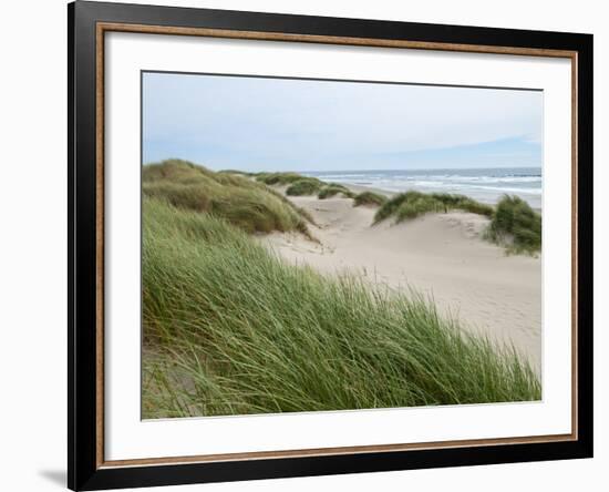 Sand Dunes and Scrub in Oregon Dunes National Recreation Park in Florence, Oregon, Usa-Bill Bachmann-Framed Photographic Print