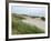 Sand Dunes and Scrub in Oregon Dunes National Recreation Park in Florence, Oregon, Usa-Bill Bachmann-Framed Photographic Print