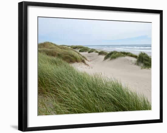 Sand Dunes and Scrub in Oregon Dunes National Recreation Park in Florence, Oregon, Usa-Bill Bachmann-Framed Photographic Print