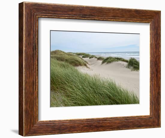 Sand Dunes and Scrub in Oregon Dunes National Recreation Park in Florence, Oregon, Usa-Bill Bachmann-Framed Photographic Print