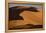 Sand dunes at sunset in the Sahara Desert, Libya, North Africa, Africa-Michal Szafarczyk-Framed Premier Image Canvas