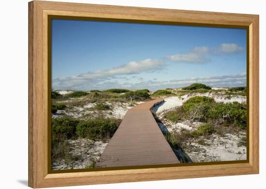 Sand Dunes Boardwalk-forestpath-Framed Premier Image Canvas