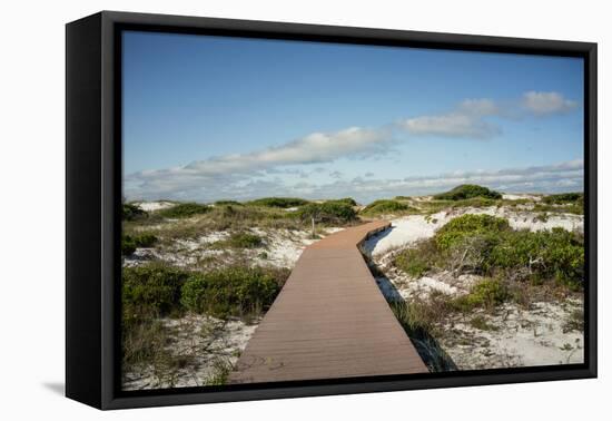 Sand Dunes Boardwalk-forestpath-Framed Premier Image Canvas