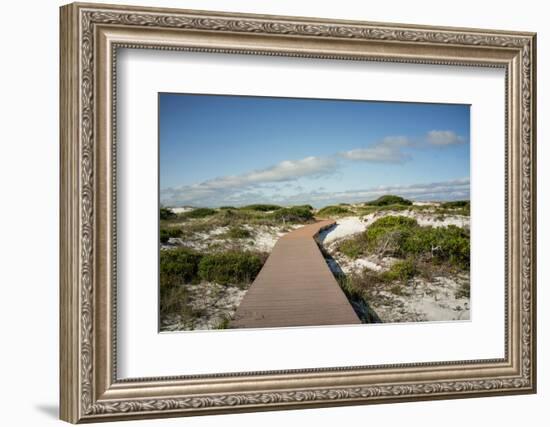 Sand Dunes Boardwalk-forestpath-Framed Photographic Print