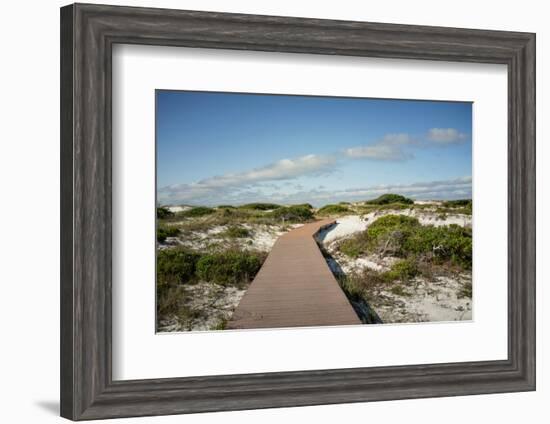 Sand Dunes Boardwalk-forestpath-Framed Photographic Print