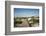 Sand Dunes Boardwalk-forestpath-Framed Photographic Print