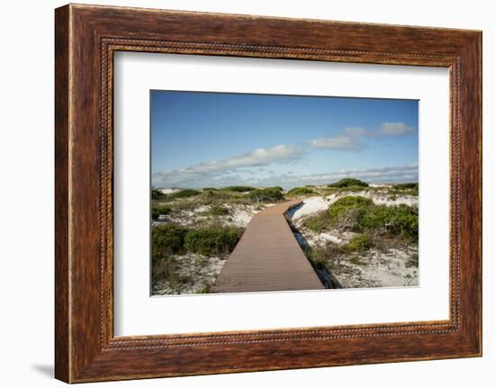 Sand Dunes Boardwalk-forestpath-Framed Photographic Print