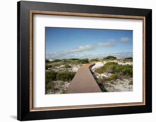 Sand Dunes Boardwalk-forestpath-Framed Photographic Print