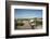 Sand Dunes Boardwalk-forestpath-Framed Photographic Print