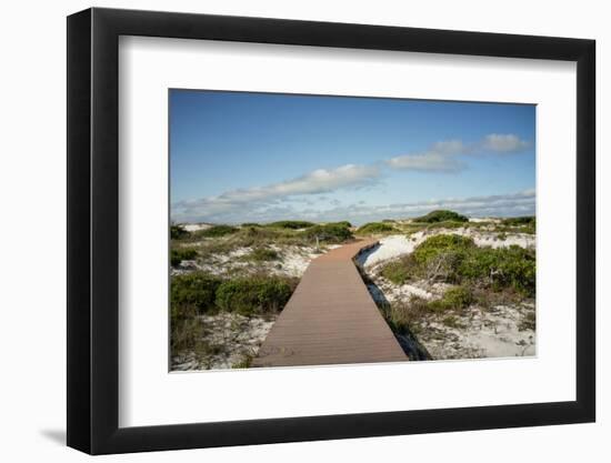 Sand Dunes Boardwalk-forestpath-Framed Photographic Print