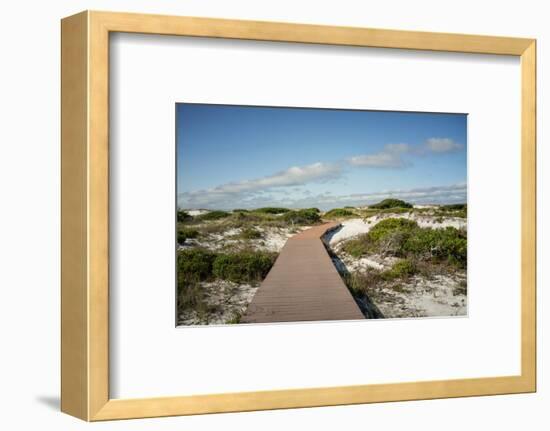 Sand Dunes Boardwalk-forestpath-Framed Photographic Print